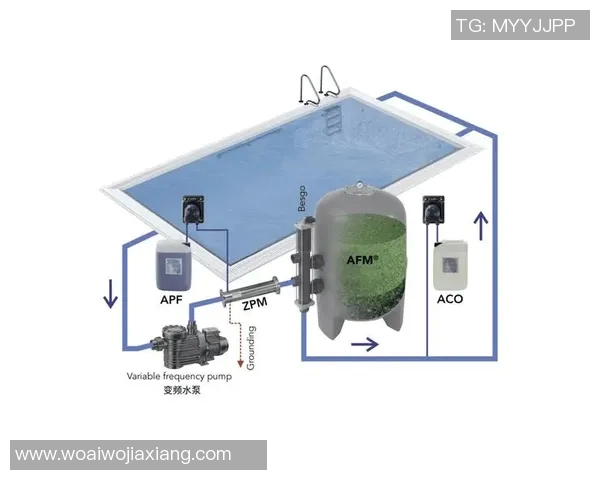 如何高效清洁泳池保持水质清澈清新全面指南