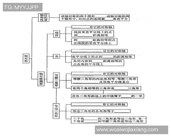 探索竞技体育项目发展趋势与未来挑战的多维度分析与思考