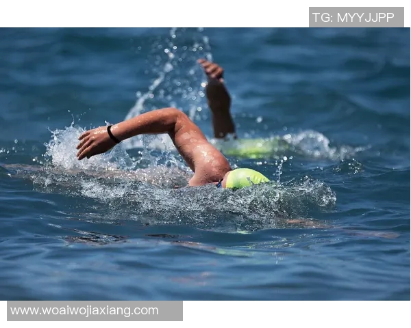游泳训练技巧与科学方法的全面解析提升游泳能力的训练计划与实战经验