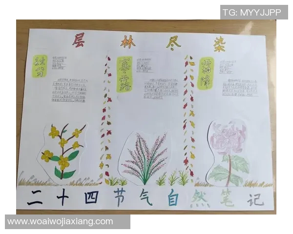 果园中的四季变换与农事活动：从春种到冬藏的自然与人文探索